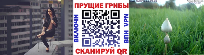 Галлюциногенные грибы GOLDEN TEACHER  мориарти клад  Протвино 