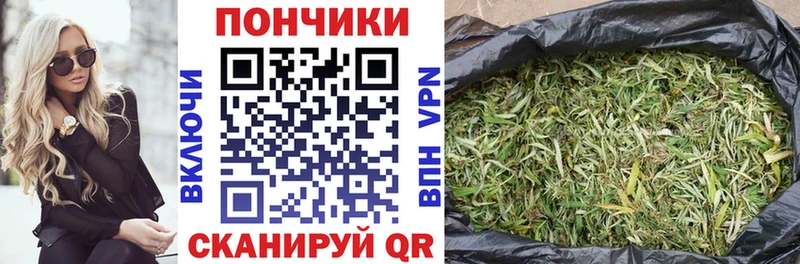 купить наркотики сайты  Протвино  кракен как зайти  Бошки Шишки White Widow 